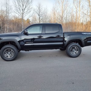 Tacoma 68