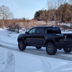 Tacoma 84