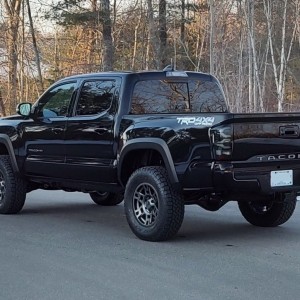 Tacoma 86