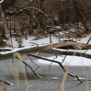 Nature Center