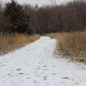 Nature Center