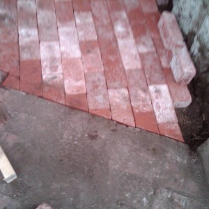 IMG00136-20130330-1756