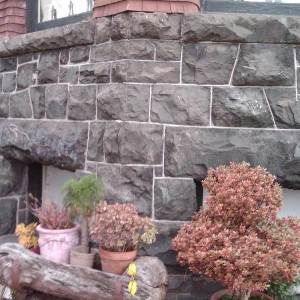 IMG00138-20130330-1806