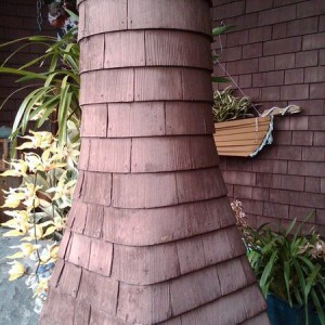 IMG00152-20130331-1630