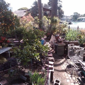 IMG00142-20130331-1106