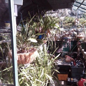 IMG00143-20130331-1107