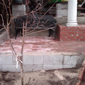 IMG00150-20130331-1620
