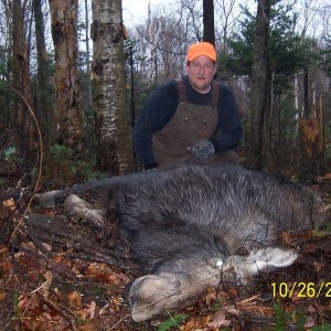 2008 NH moose hunt