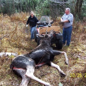 2008 NH moose hunt