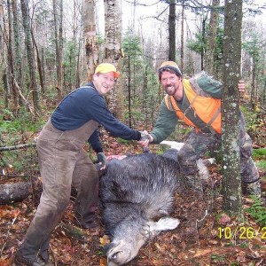 2008 NH moose hunt