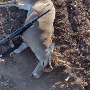 2021 Buck