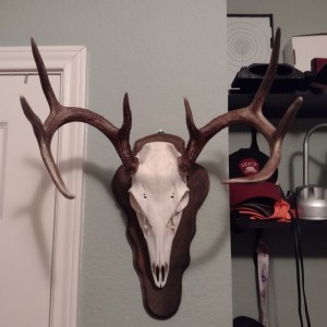 Euro Mount