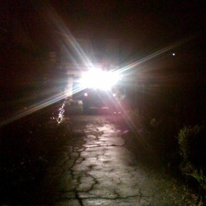 IMG00195-20130407-2106