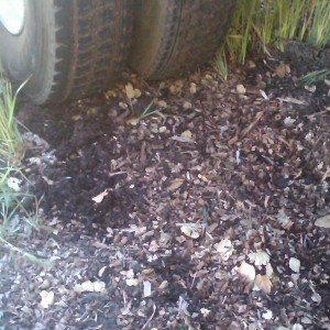 IMG00228-20130410-1028