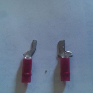 IMAG04696