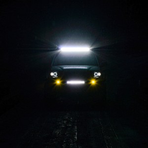 Light in the dark
