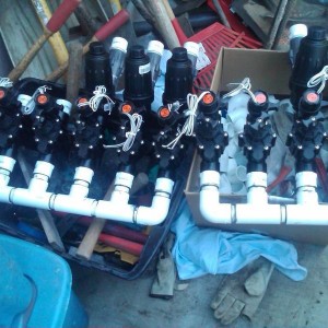 IMG00243-20130411-1604