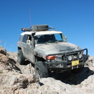 FJ31