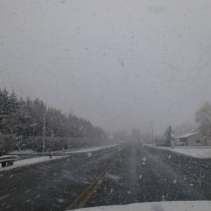 Just another lovely spring day in MT!