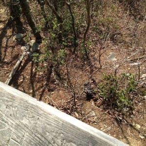 photo_2_4_3