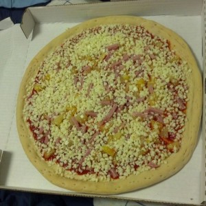 So I ordered a pizza for study food. Kelson decides to deliver an uncooked 