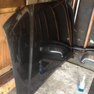 Parts for Sale MGM Hood with Redline Struts