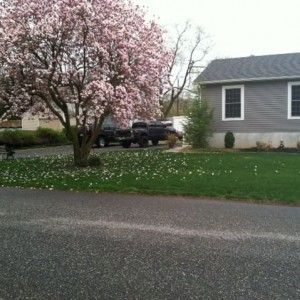 Spring.
