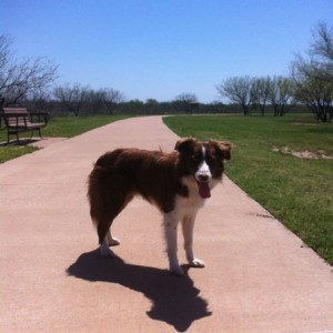Skipped work today. Too nice outside