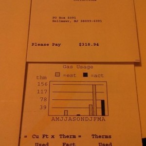 Years worth of heat, hot water, and stove use = $320. And to think I actual