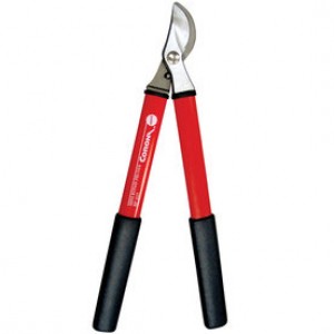Pruner