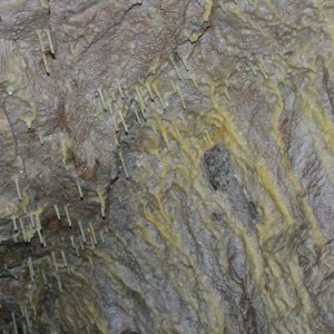 Abril Mine, Dragoon M
