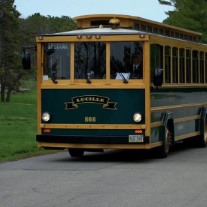 TrollyLucille