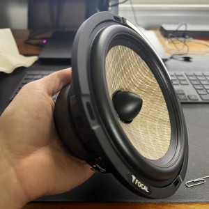 Focal Flax FXE 2