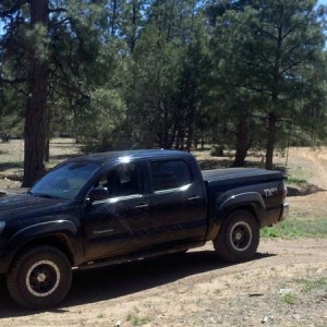 playing in the woods