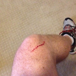 Fuckin cat.