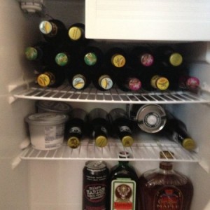 Mini fridge stocked well :)
