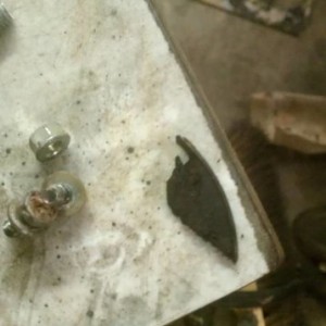 IMAG0429