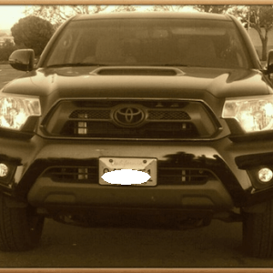 Blacked out Emblem & stock baige skid plate and side mirror turn signal