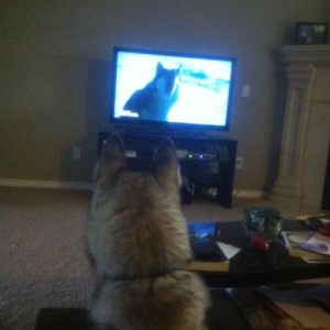 Turned on 8 below...this is the result lol