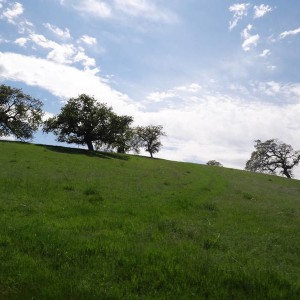 DSC019983