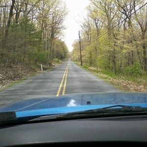 Love spring.