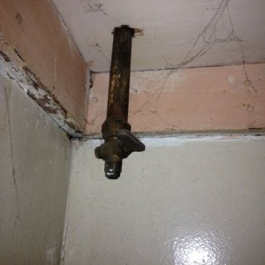 Does this look like a gas hook up? Found it by my dryer.