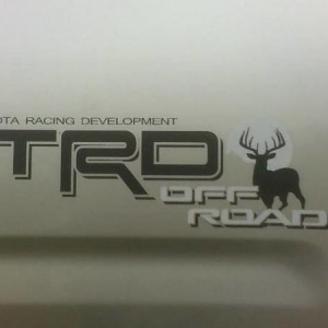 bedside decal