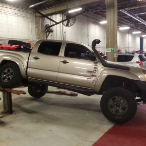 Flexing it out.