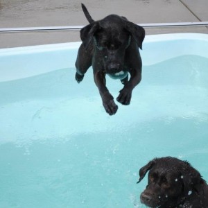 Pup_03