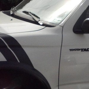 Fender Stripes