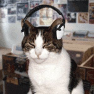 Avatars_Cat_With_Headphones