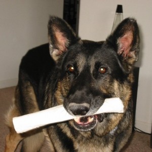 Rawhide