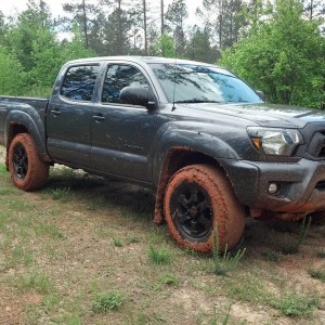in the mud