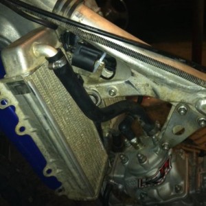Picture_218